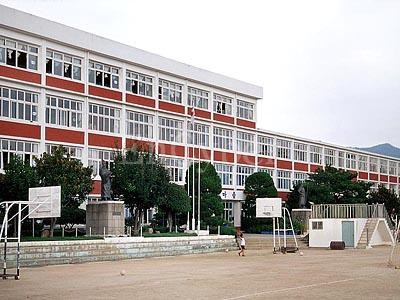 합포초.jpg